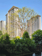 面触发业从更多的逗留和碰见的可能性